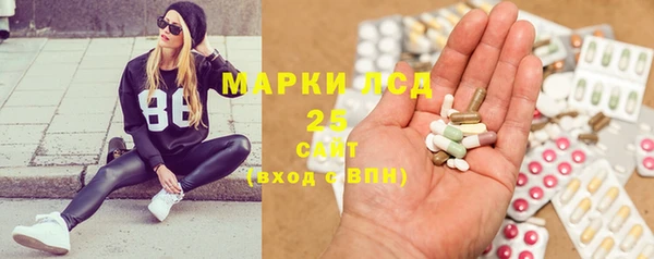 ПСИЛОЦИБИНОВЫЕ ГРИБЫ Ладушкин