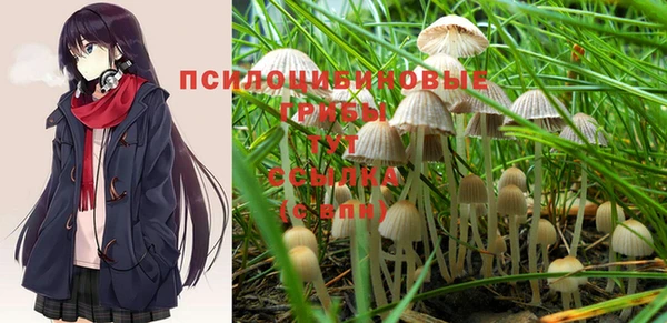 амф Александровское