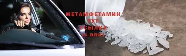 ПСИЛОЦИБИНОВЫЕ ГРИБЫ Ладушкин